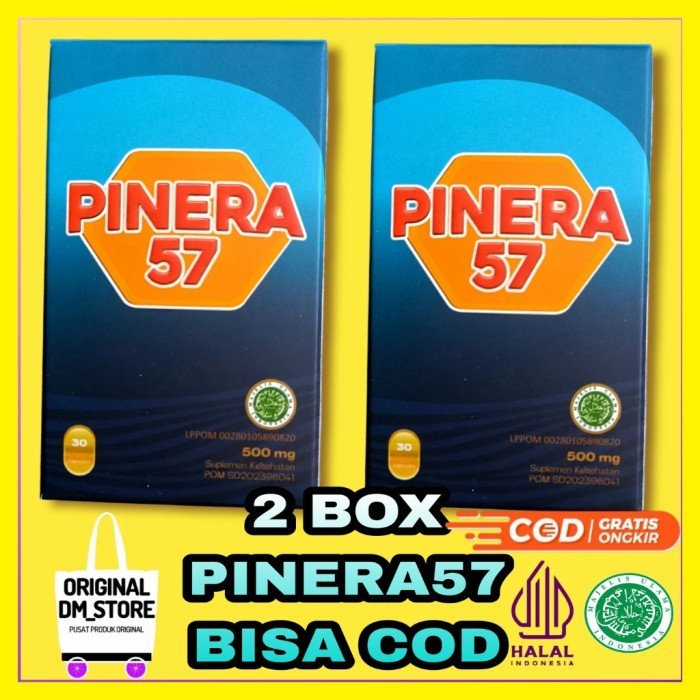 Sale Pinera 57 Original 2 Box Pinera57 Obat Diabetes Kolestrol Obat Stroke