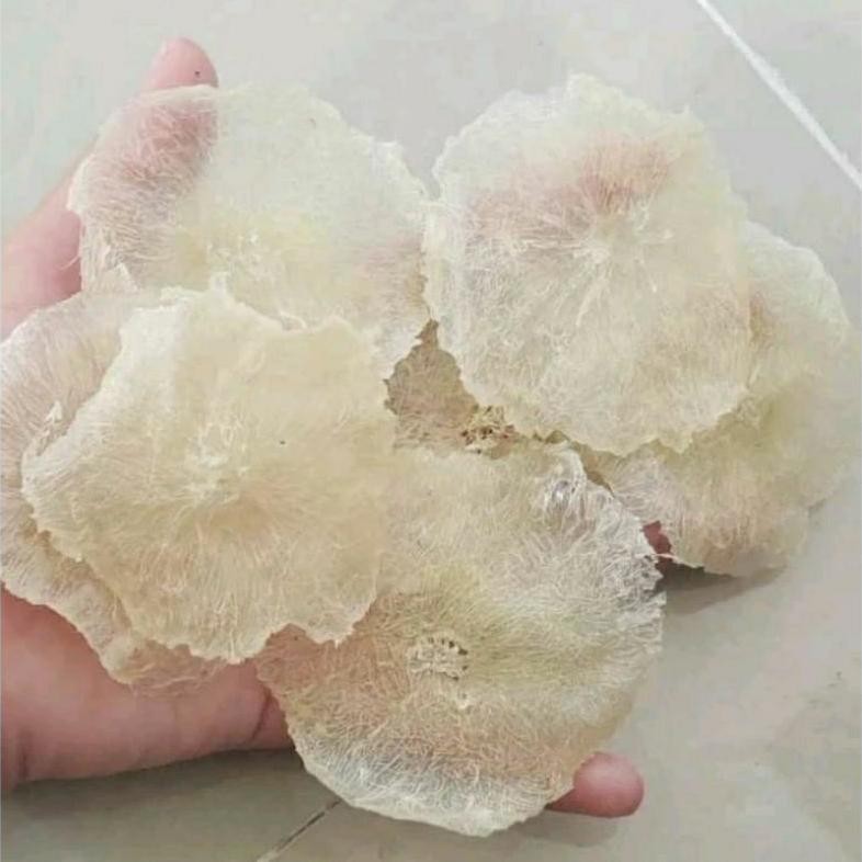 

gd-324 Emping Garut Mentah Grade A 250 gr Premium