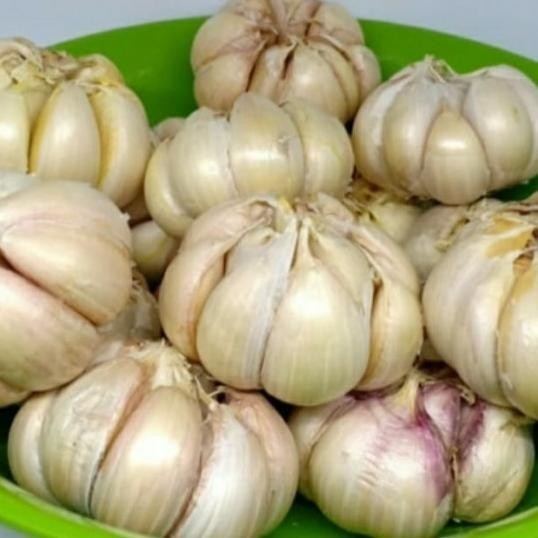 

Bawang Putih Banci 1000 Gr