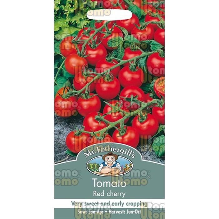 Benih Sayuran Tomato Red Cherry Mf.Fothergill'S