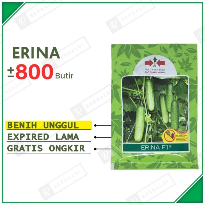 Erina F1 Benih Timun Lalab Unggul Bibit Ketimun Lalap Hibrida