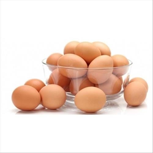 

S19327 TELUR PAKET EROPA MAJU BERSAMA (20250913)