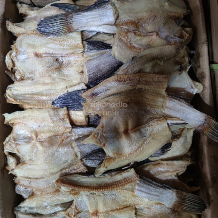 

Ikan Asin Gabus Kolam Besar 500Gram A9