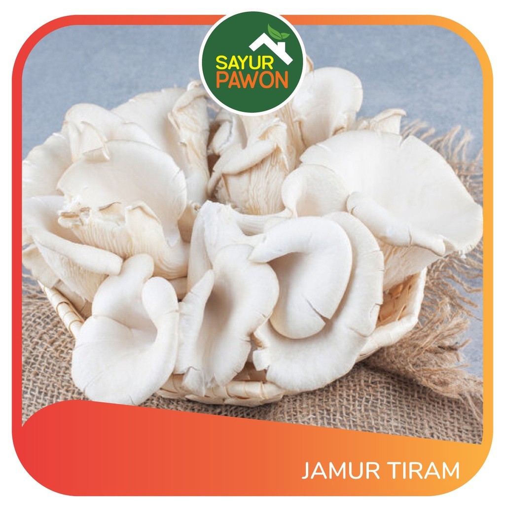 

JAMUR TIRAM / JAMUR PUTIH SEGAR [harga per bungkus]