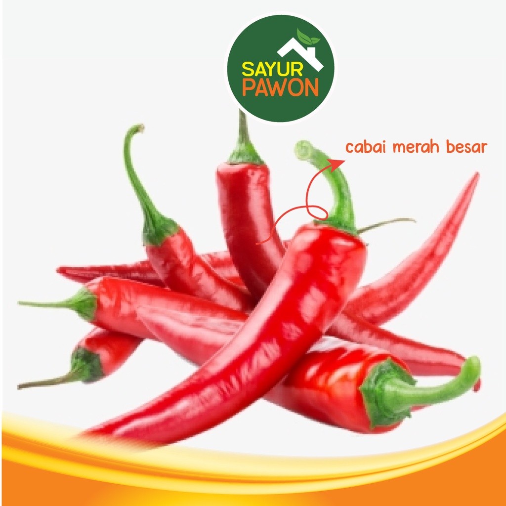 

CABE MERAH BESAR / TEROPONG per 100 Gram