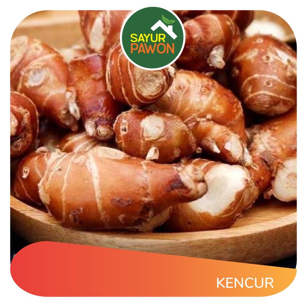 

KENCUR 100 gram