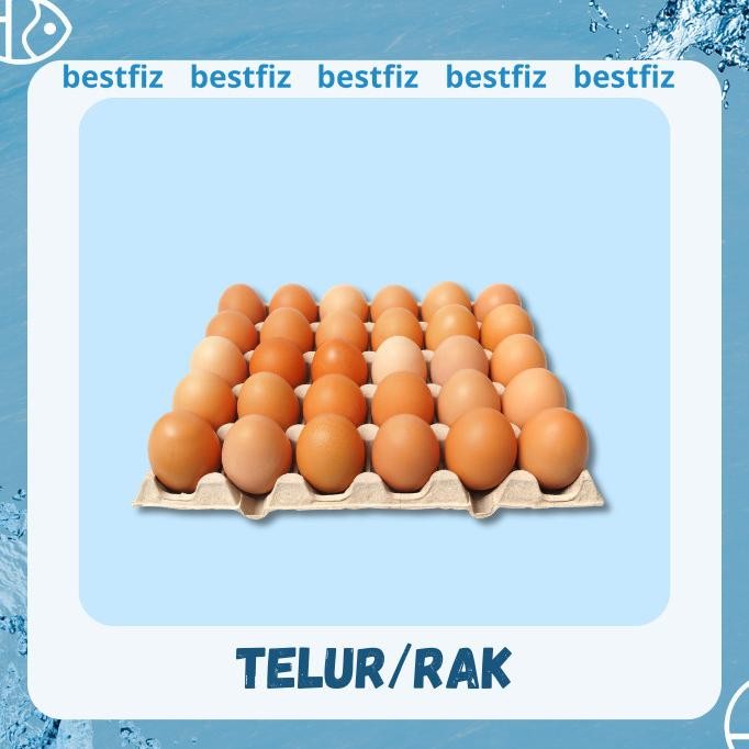 Telur 1 Rak HFS
