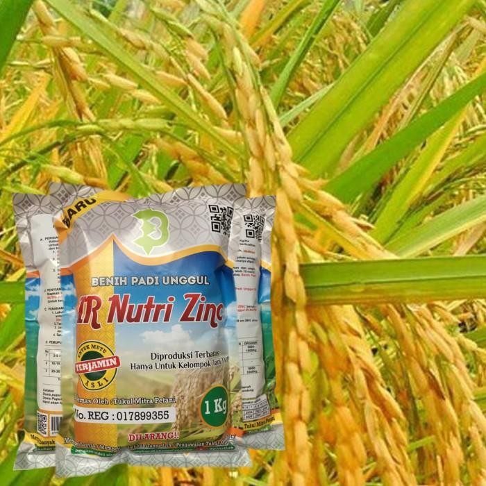 Benih Padi IR Nutri Zinc Unggul Untuk Mencegah Sunting Pada Anak Kualitas Terbaik