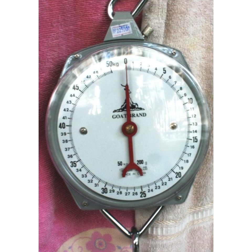 Timbangan Gantung 50Kg Untuk Laundry