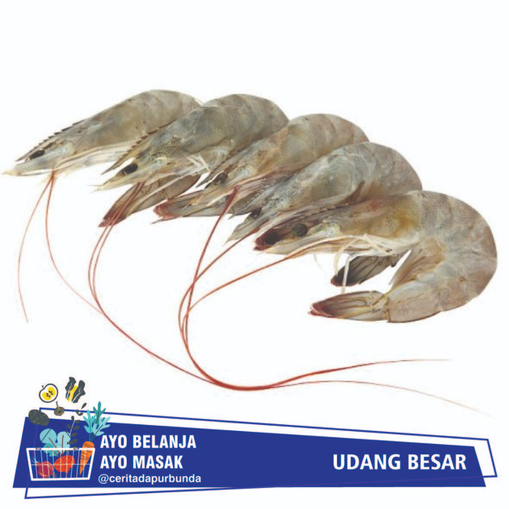 

UDANG BESAR SEGAR Per 250 gram