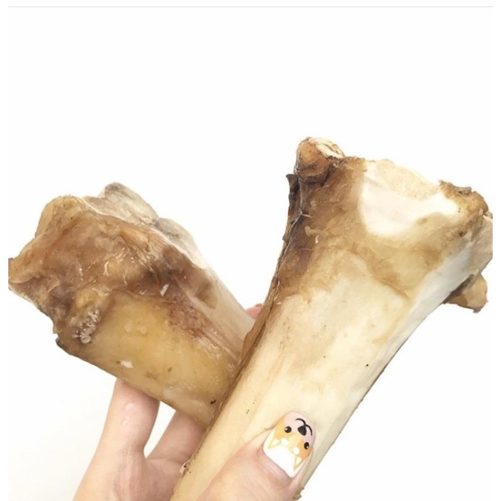 Dehydrated Bone Marrow