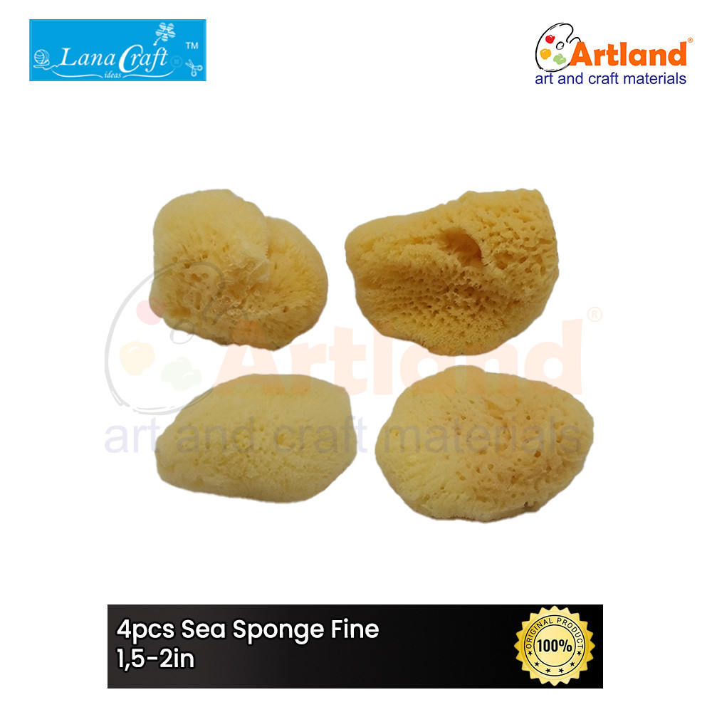 

4pcs Sea Sponge Fine 1,5-2in - Spons Laut Halus 1,5-2in Fl152