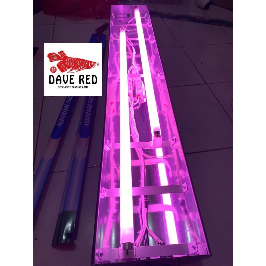 2 Lampu Jebo Pink Lampu Tanning Arwana Dave Red Arwana Soft Tanning