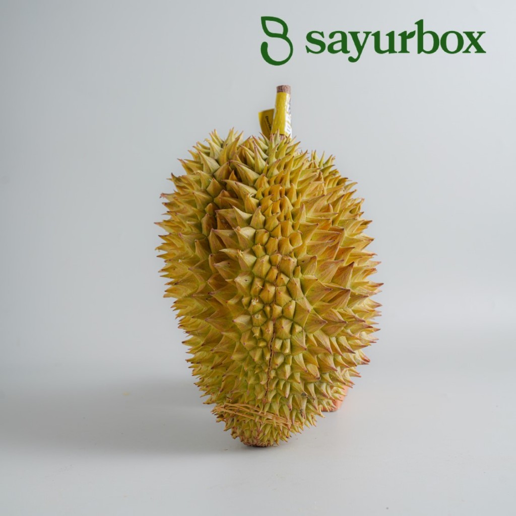 

Durian Lokal Premium Utuh 1 pcs Sayurbox