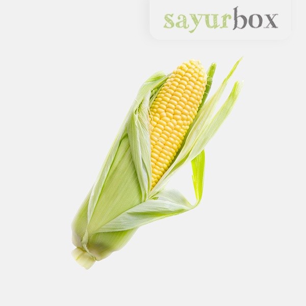 

Jagung Manis Kulit Konvensional 1 pcs Sayurbox