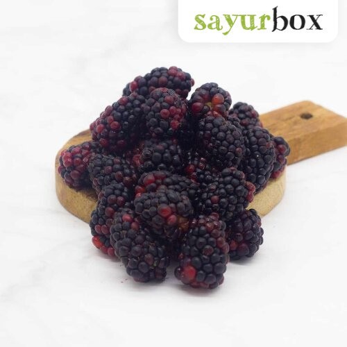 

Blackberry Hidroponik Hidroponik 125 gram Sayurbox
