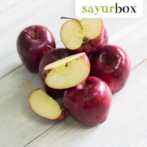 

Apel Washington Impor Impor 500 gram Sayurbox