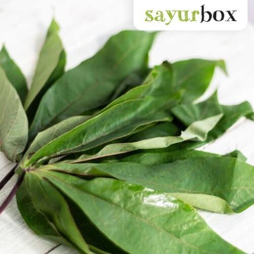 

Daun Singkong Organik Organik 250 gram Sayurbox