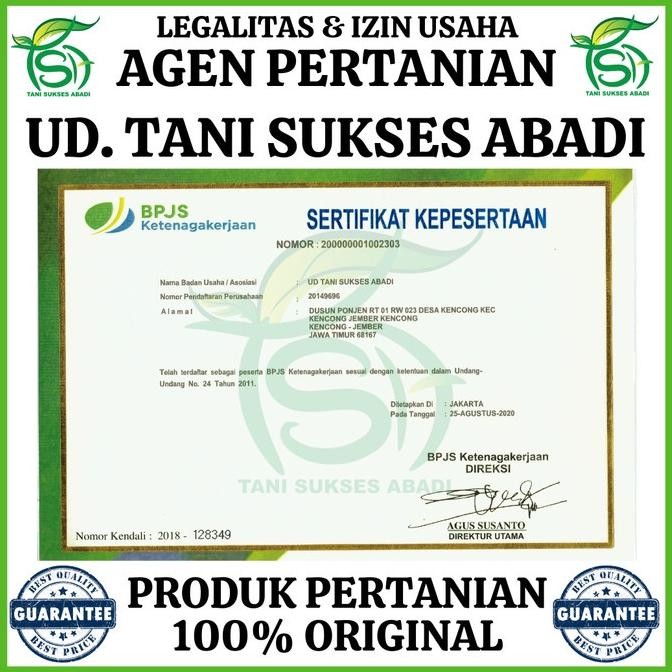 Benih Sawi Putih Leony F1 10 Gram - Bibit Sawi Slebor Panah Merah Shp15