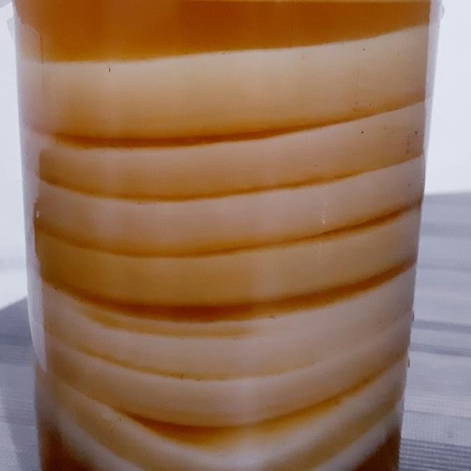 

BIG SALE SCOBY KOMBUCHA PAKET 20 PCS !!!!!