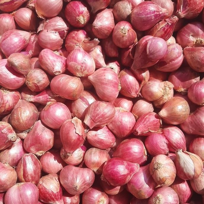 

Bawang merah banjar super gede 1kg