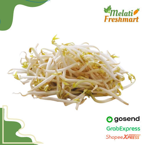 

Sayur Tauge 250 gr / gram - Melati Freshmart