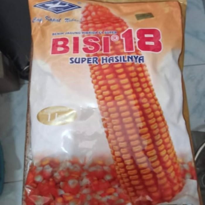 Benih jagung hibrida BISI18 1 kg jagung kuning bisi 18 kapal terbang Kualitas Terbaik