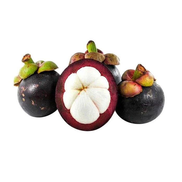 

PAYUFRESH | Manggis Super 100% Fresh