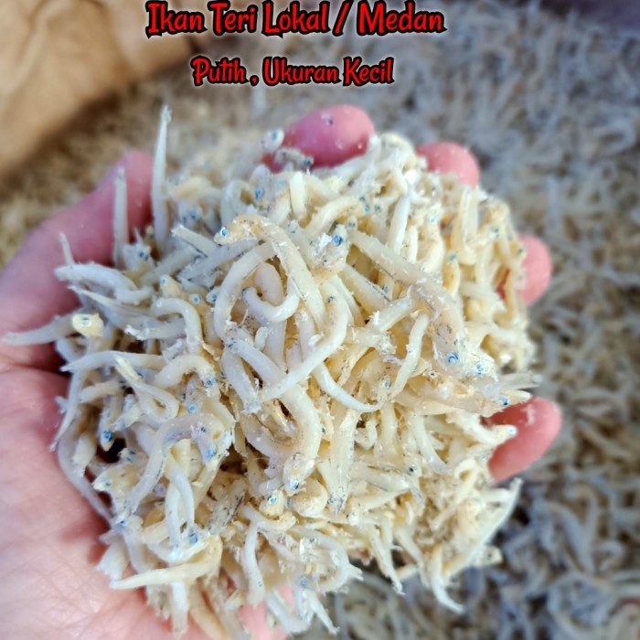 

500G-Ikan Teri Medan-Ikan Teri Toge-Teri Tauge-Ikan Teri Murah-Kang He