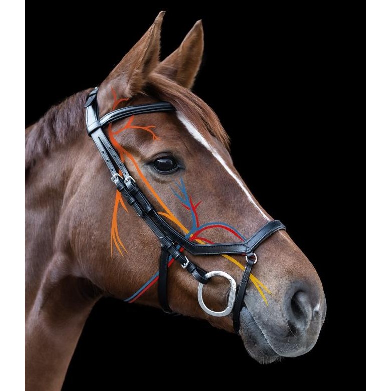 WALDHAUSEN BRIDLE XLINE RELAXATION