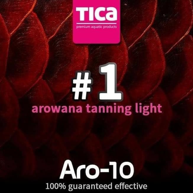 Lampu tanning arwana (TICA ARO 10 ) IMPORT 13.000 kelvin (92 cm )