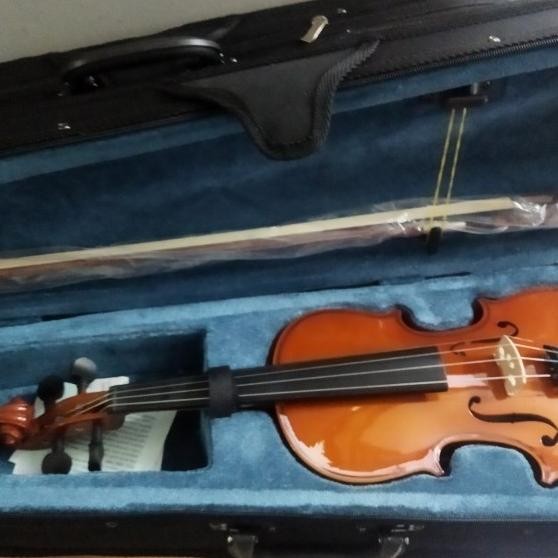 Biola Peganini Student Series Full Solid Rekomended