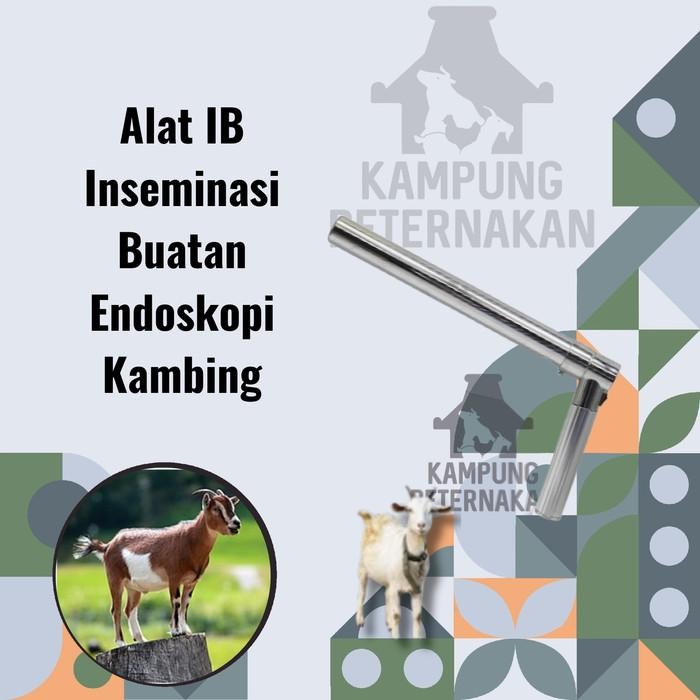 Endoskopi  IB Inseminasi Buatan Kambing Vaginoscope Speculum Ternak
