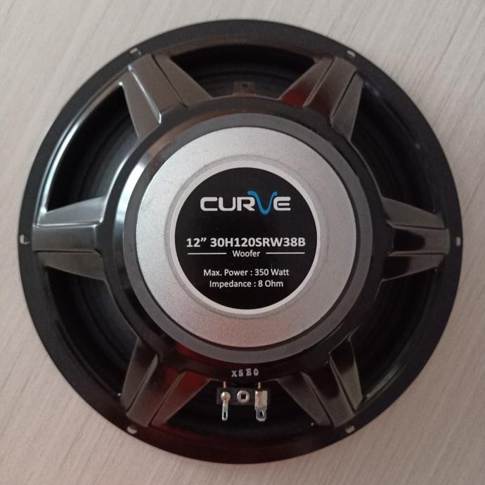 Speaker Curve 12 Inch Woofer