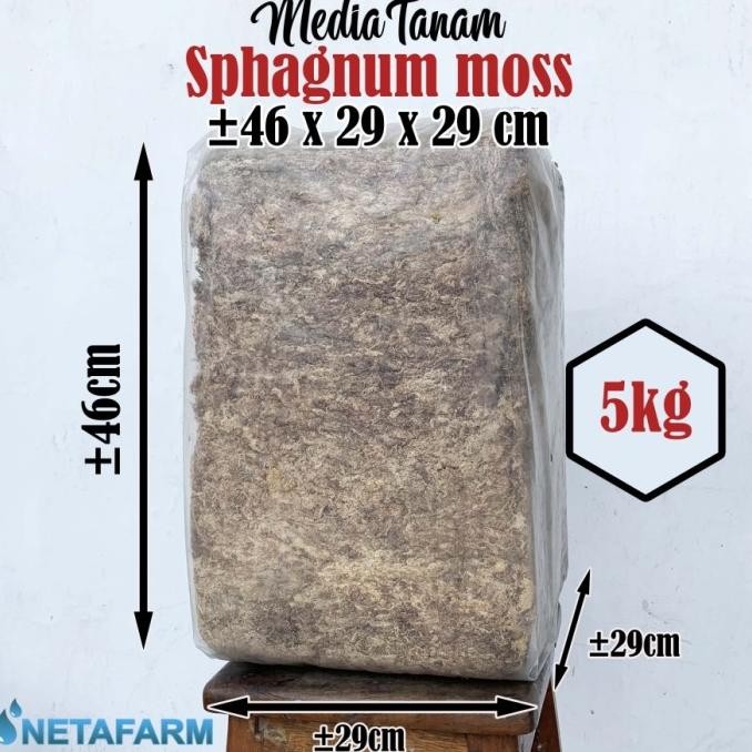 Media Tanam - SPHAGNUM MOSS 5 KG