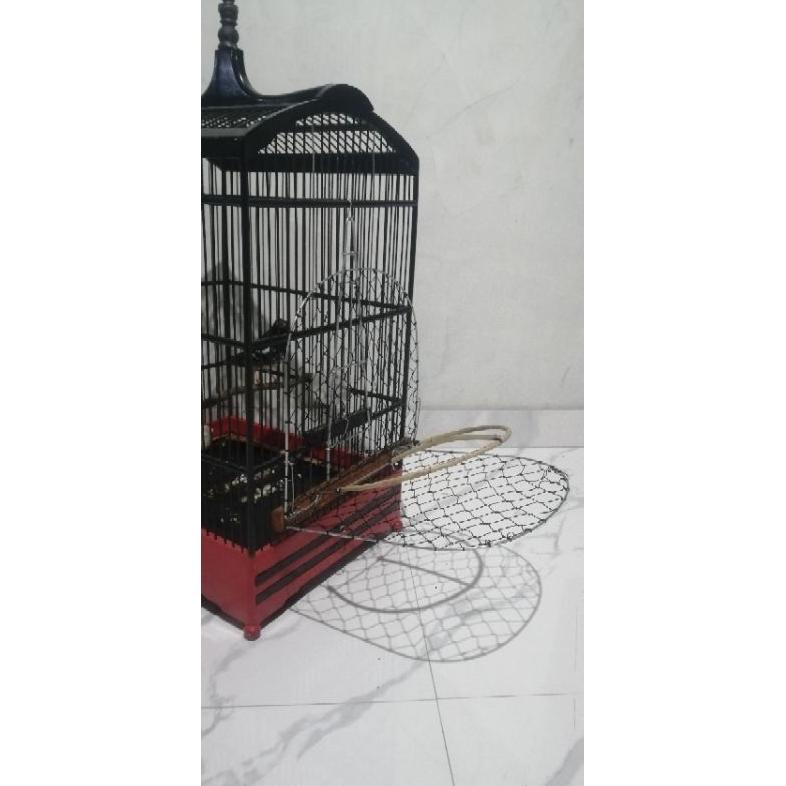 UDI555 jebakan burung,sangkar jebak,jebakan cendet, jebakan kacer, jebakan murai, sangkar ***