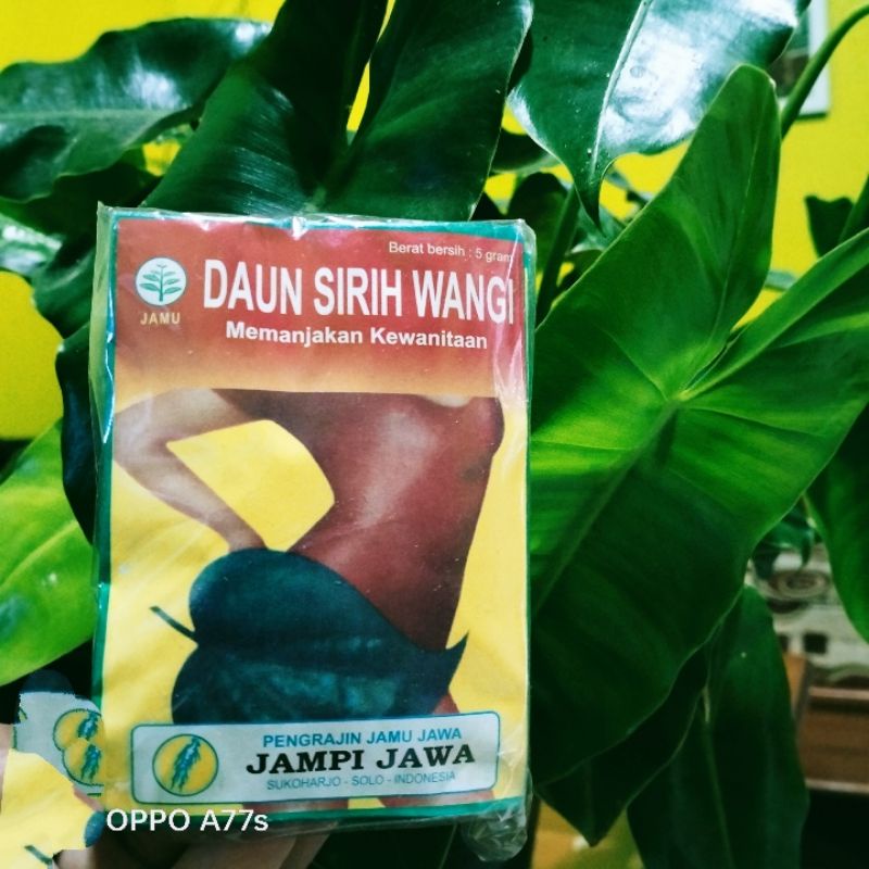 

jamu daun sirih wangi bubuk jamu jawa asli isi 10sacet
