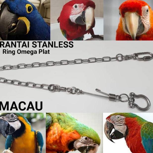 Terbaru Rantai Macau Ring Omega