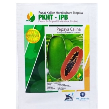 CHEKOUT BENIH PEPAYA CALINA CALIFORNIA pkht IPB ISI 250
