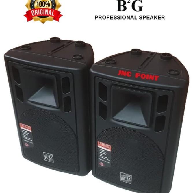 Speaker Pasif Box Fiber B2G 10Inch 10 Inch 2 Unit Original