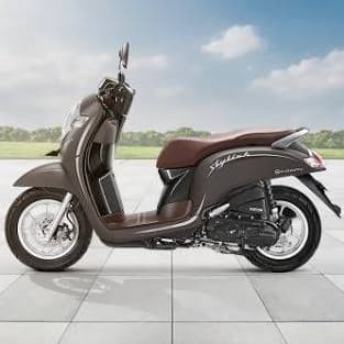 Cat Semprot Pylox Samurai Paint H391** Scopy Brown / Coklat tua Scoopy terlaris