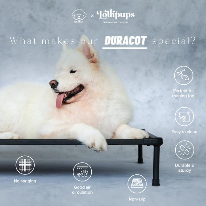 The Duracot (MEDIUM) -- Elevated dog bed (pet cot, tempat tidur hewan)