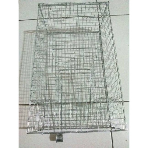 Perangkap Tikus Kandang Tikus Jebakan Tikus