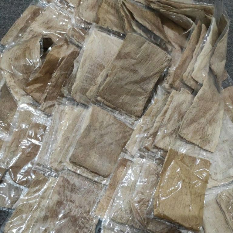 

Terkini￣satu renteng isi 10 bungkus ares serat aras buat mangsi gosok tinta pen tutul pena celup pentul