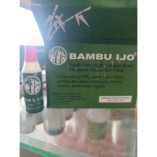 nutrisi tanaman bambu ijo