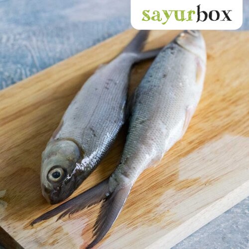 

Banda Ikan Bandeng 500 gram Sayurbox