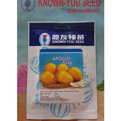 Benih Melon Apollo 20 Gram Benih Biji Melon Golden Kuning F1 Known You