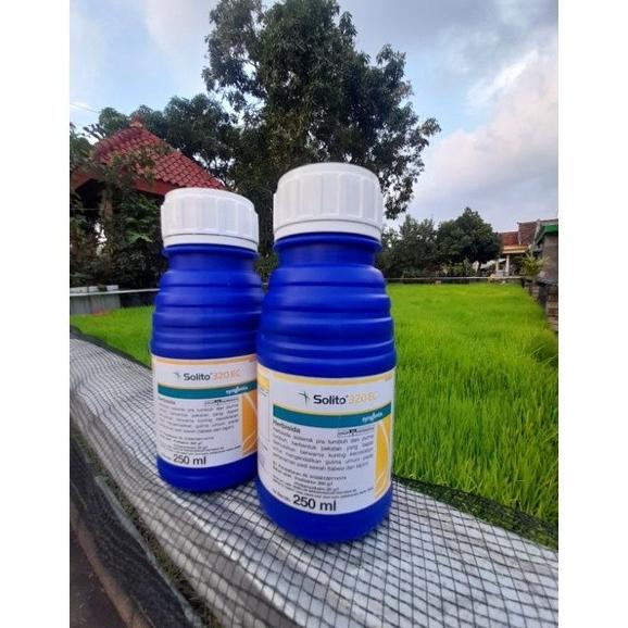 SOLITO 320EC 250ml SYNGENTA Herbisida Rumput PRA PURNA Tumbuh PADI