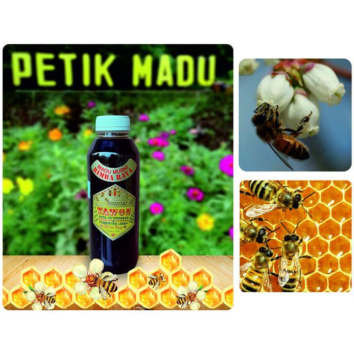

=====] Madu Bunga Randu 500 ml botol plastik