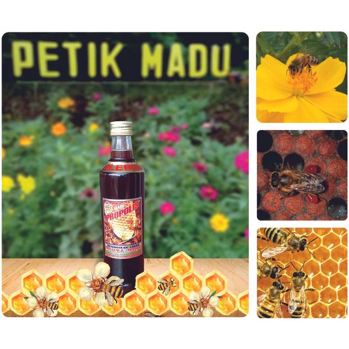 

}}}}}}] Madu Propolis Alergi 310 ml